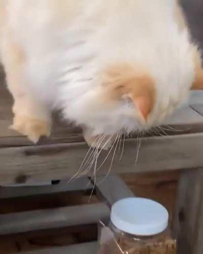 Dropping Hints For Human