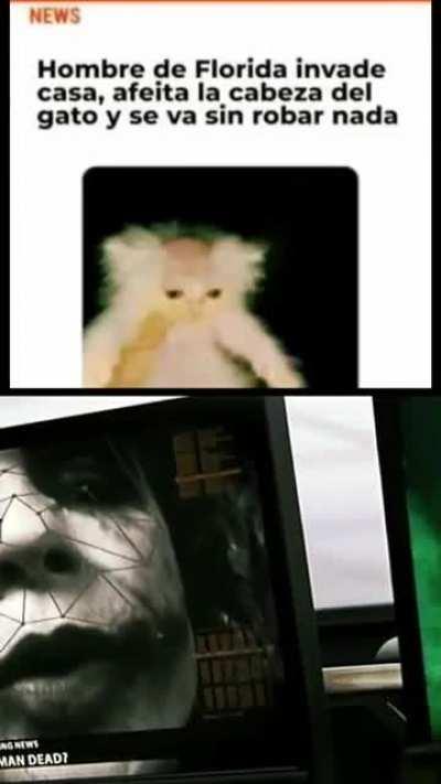 vivimos en una socieda