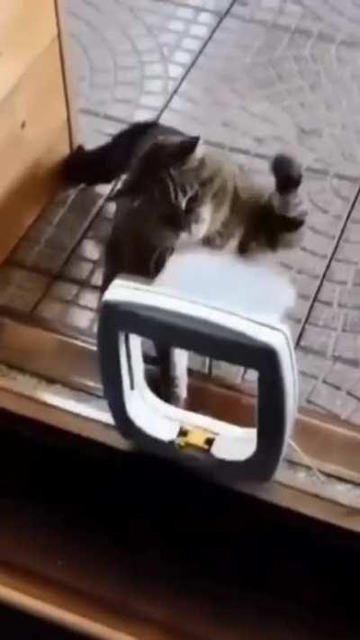 Big fan of Mohammed Ali 😂✌️💯