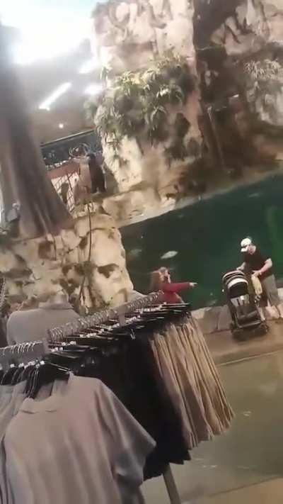 HMB while I go for a swim at Bass Pro Shop