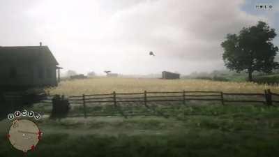 I accidentally hit a bird with a fire bottle