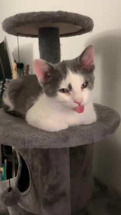 He was awaken from his nap by me laughing