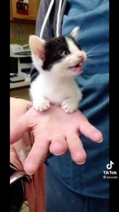 Hope this makes your/you're day