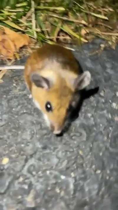 linked up with my boy