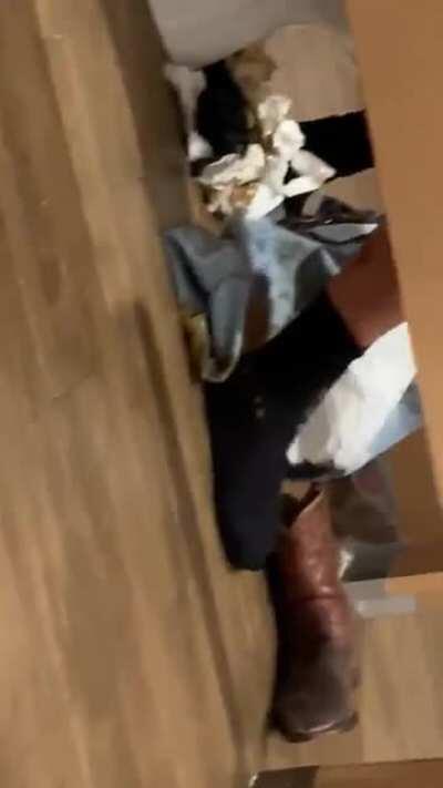 Friend from work sent me this