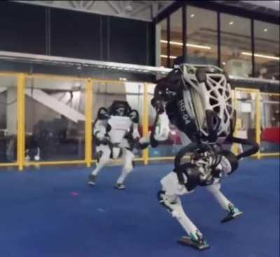 Bots in 2050 teabagging my corpse during the bot revolution