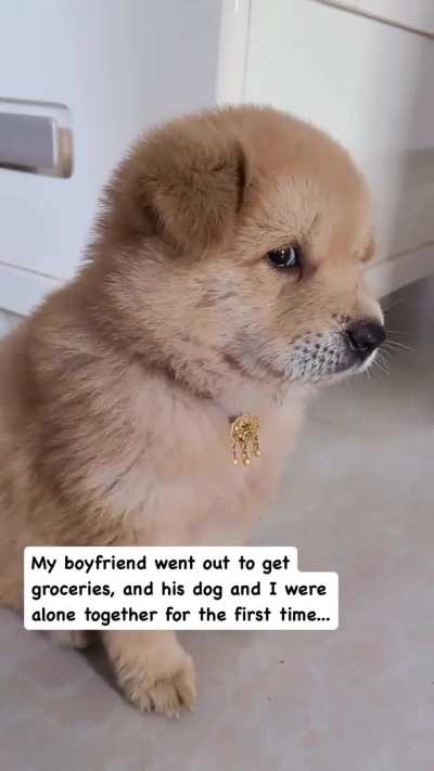 Ok this kinda awkwward but hello