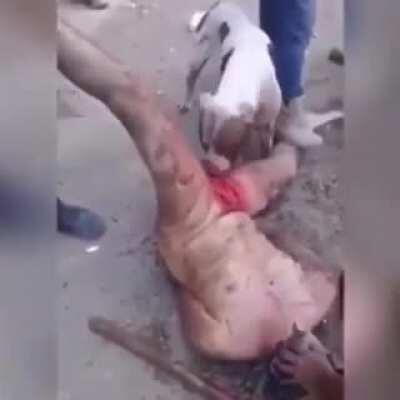 He do be eating her out tho 😎 (WARNING NOT FOR SNOWFLAKES NSFW*10000)