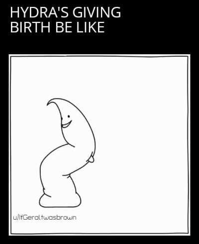 Biology is the new black.