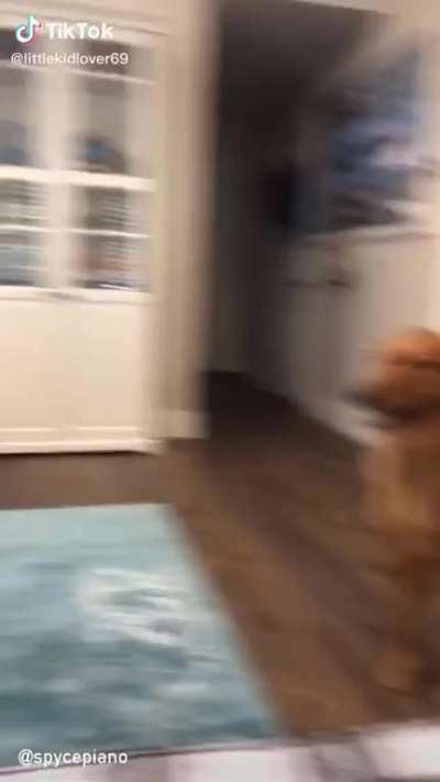 So I edited a TikTok