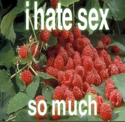 feel free to screensho