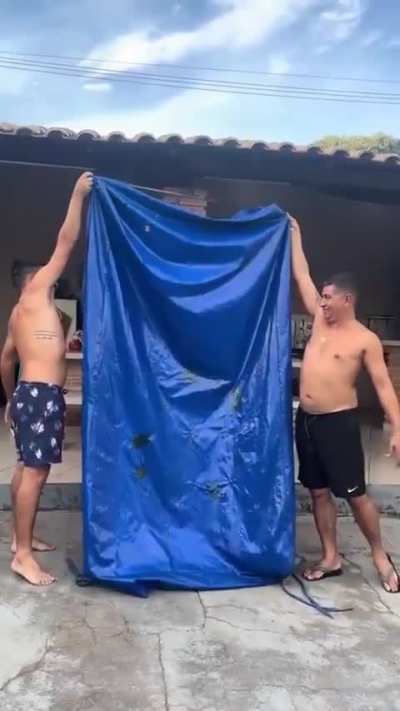 How it’s like with sneak 40 trying to hide after you were caught robbing a shop full of prosthetics 