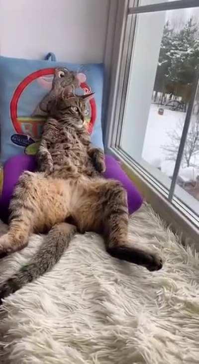 My Sunday looks like this 😍😁🙈