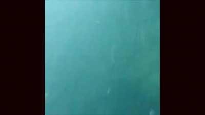 Think about what you truly want if you didn't wish for an end. Your younger self had a dream, make that kid proud