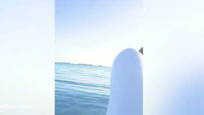 how the members of r/WorshipTaylorSwift cross Styx