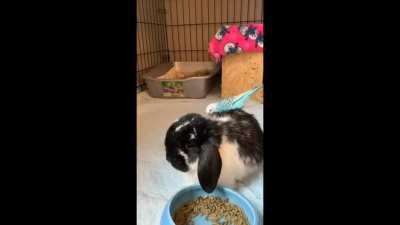 Zealan and Thomas ❤️🥺