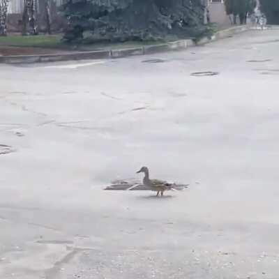 Leading the craw, not locking back