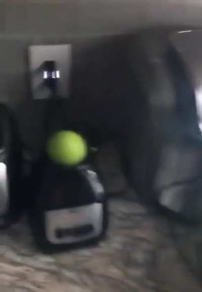 Surely, nothing can go wrong, right?