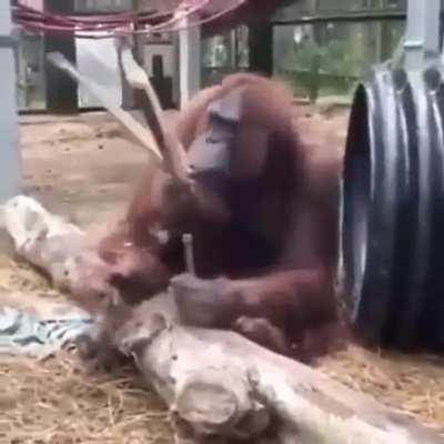 HOW🤔HOW🤔HOW😠