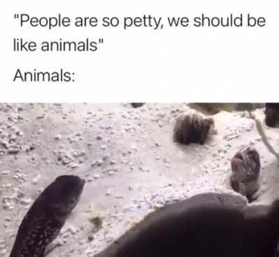 Faith in humans, restored