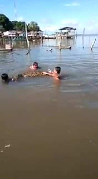 Lets play with a dinosaur.