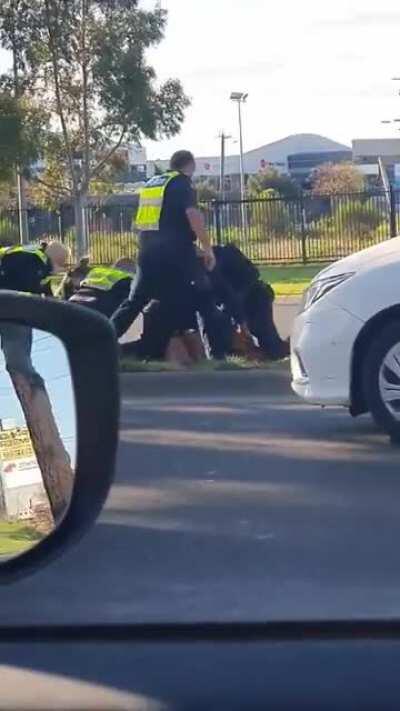 Victoria Police stomp the head of an escaped mental-health patient, today in Epping, VIC.