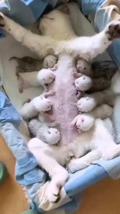 Oh my god🤩🤩🤩