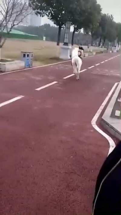 Fuck you.. anddd I’m off.