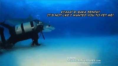 Heard y'all like tsunderes