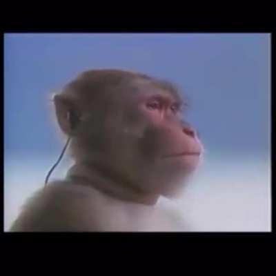 Listening to the last “when I come back you’ll still be here”