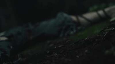 Plants pump loads in her