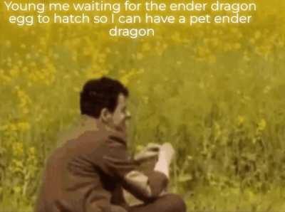 Repost because people really wanted a title on the meme also this is true I was stupid back then