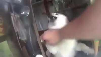 Hıyar vra ekmek vra neye bakıyon