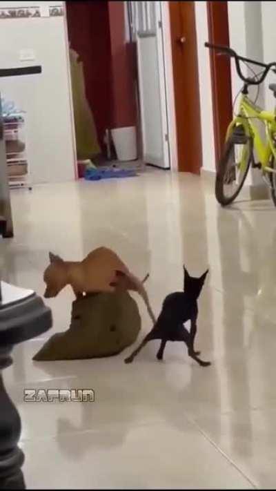 There definitely was an attempt