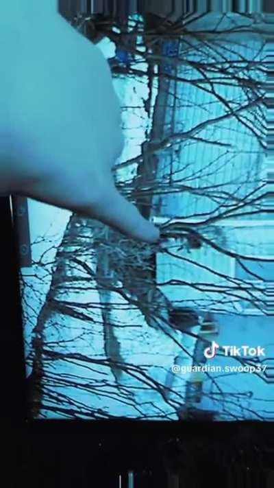 The Deranged Avatar: The one who sees all.