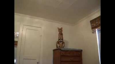 I have no idea why i did this