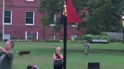 That dog is already a much better player than I could ever be.