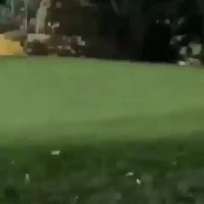 Muy lindo el golf 🤓