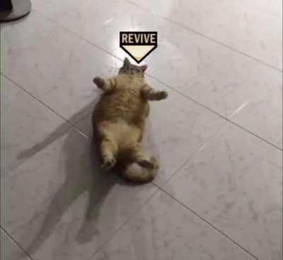 Hey, can you revive me? No? Oh...ok... :(