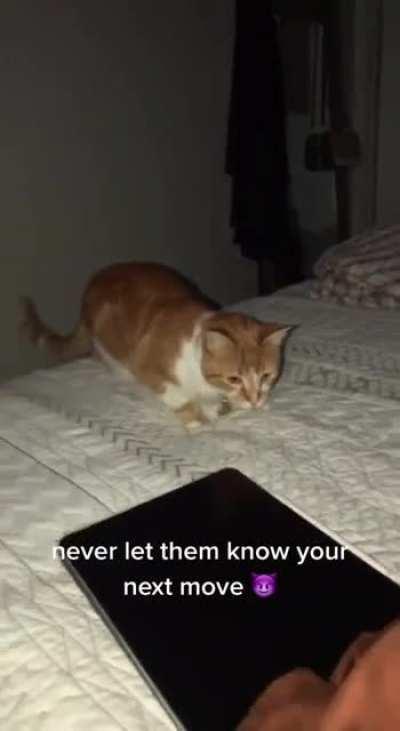 Bro forgot to change gears