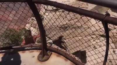 HMFT after I get back from checking out this beautiful ledge?