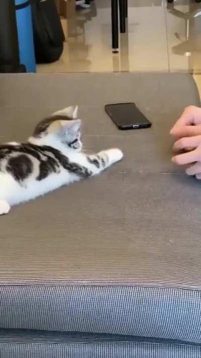 Smard kiddo =＾● ⋏ ●＾=