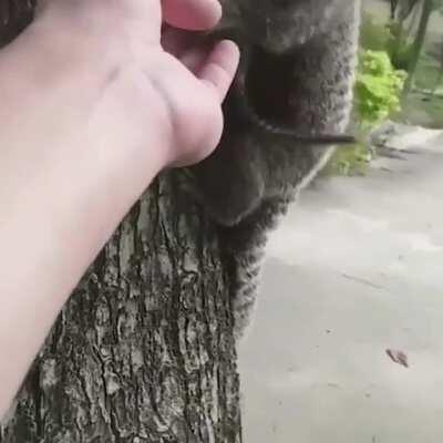 baby being returned to its mother.