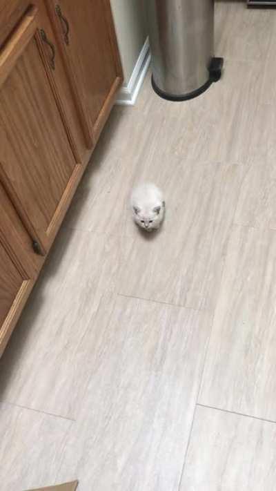 Perpetrator demanding her three square meals...all at once.