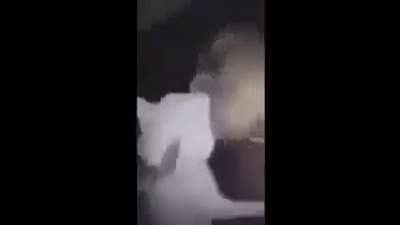 Alguien que tenga el link o el video