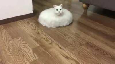 Los streams con la nueva pc😎