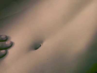 Scene from “Anima” 2011