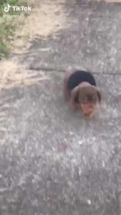 Just a lad hustlin, he must pay for hims crimes