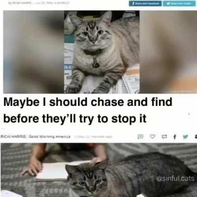 And now I'm blind 😔