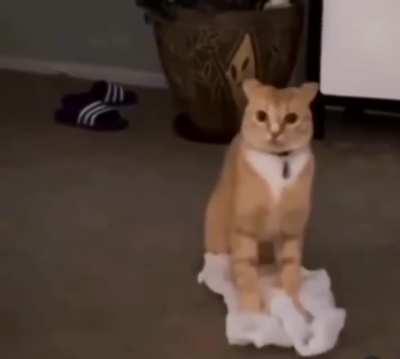 Airplane Ears With 1 Brain Cell